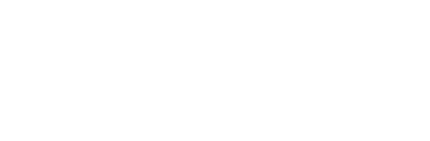 The Voyage